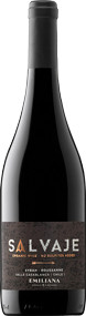 Salvaje No Added Sulphites Syrah 2022