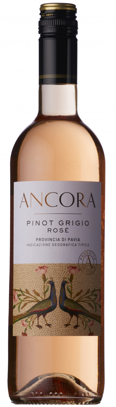 Ancora Pinot Grigio Rose 2024