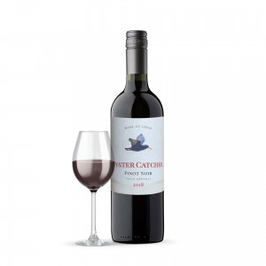 Oyster Catcher Pinot Noir, Valle Central, Chile 2023